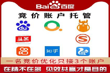 百度推广排名大揭秘：某电商平台的成功之路